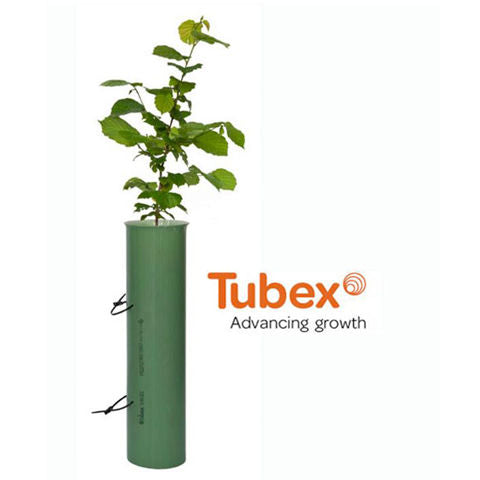 Tubex Trees Tubes Protection