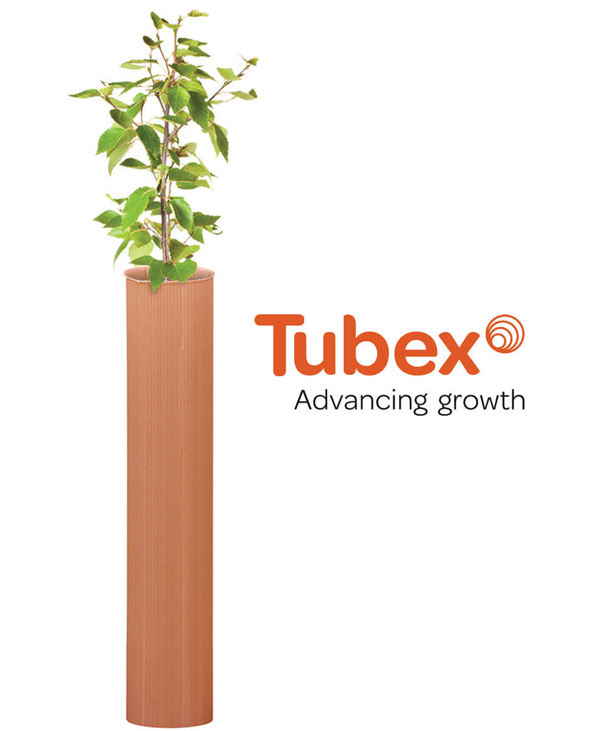 Tubex Nature Standard for Deciduous Hedge & Tree Planting (0.6m) *Recommended* - Trees by Post