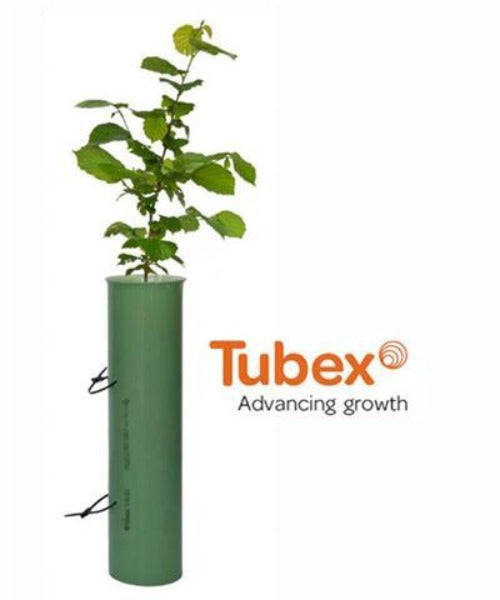 Tubex Shrub Shelters for Shrubs & Wider Evergreen Trees (0.6m) - Trees by Post
