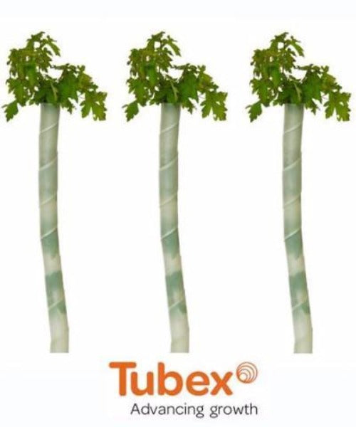 Tubex Spirals for Deciduous Trees (0.6m) - Ideal for Hedging - Trees by Post